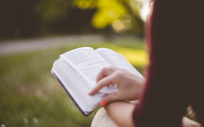 Una educación universitaria no es el único camino al éxito